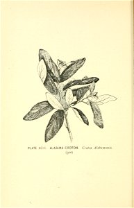 n365_w1150