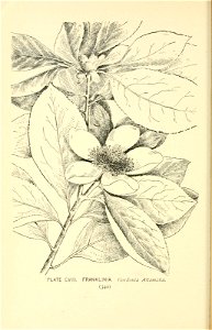 n409_w1150