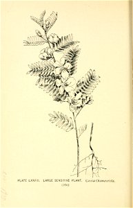 n319_w1150
