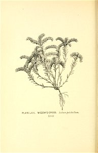 n269_w1150