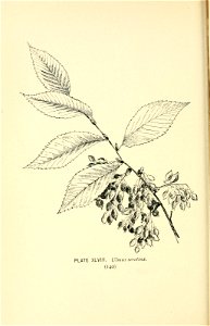 n193_w1150