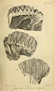 n148_w1150