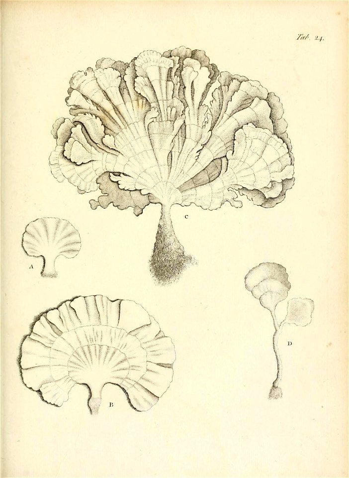 n178_w1150