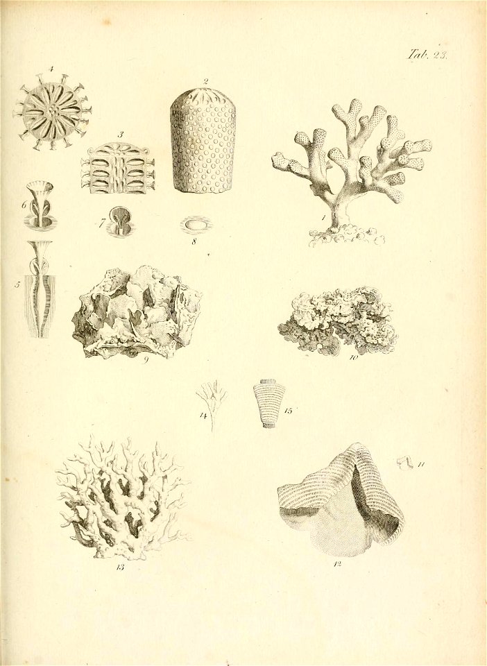 n176_w1150