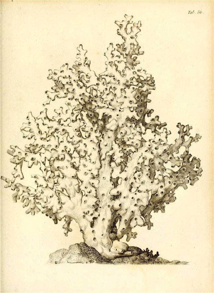 n202_w1150