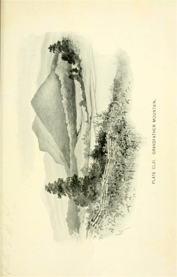 n580_w1150