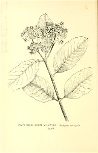 n517_w1150