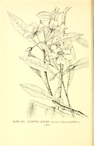 n429_w1150