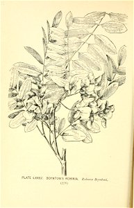 n339_w1150