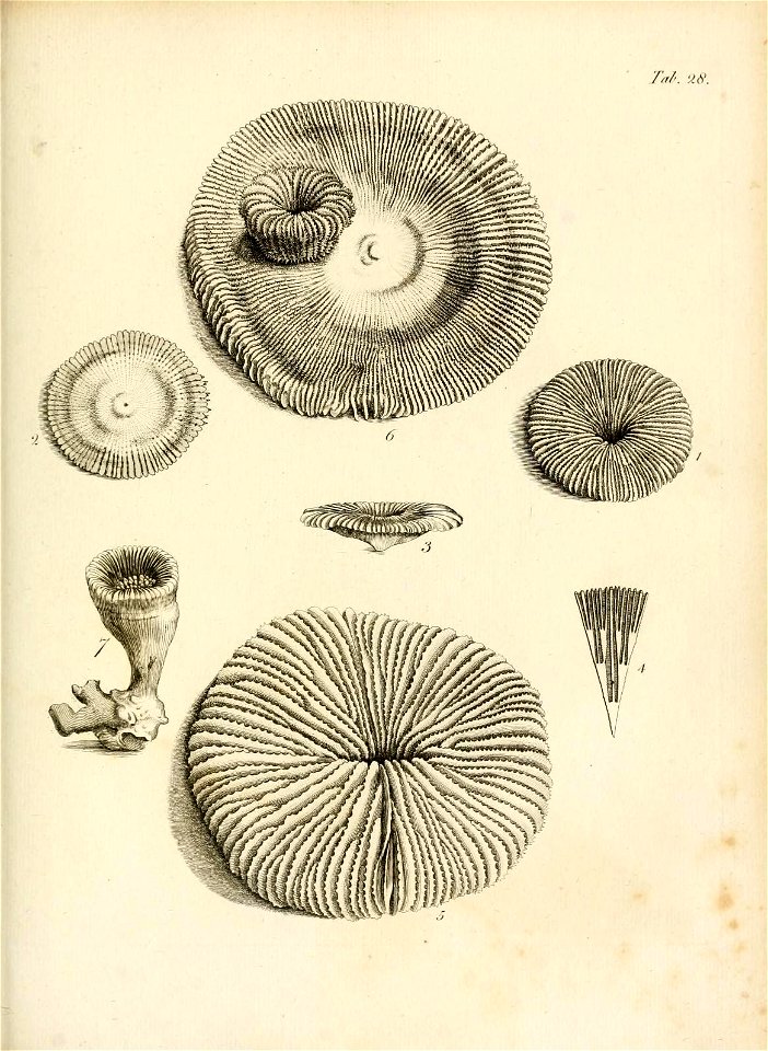 n186_w1150