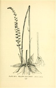 n104_w1150