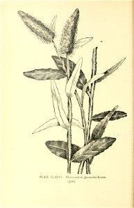 n603_w1150