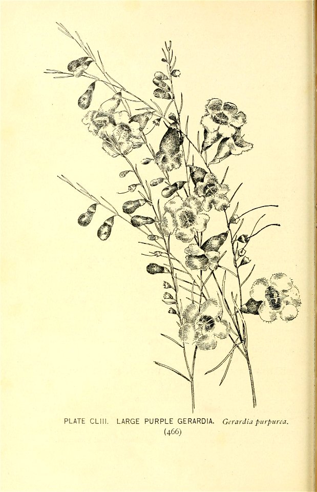 n553_w1150
