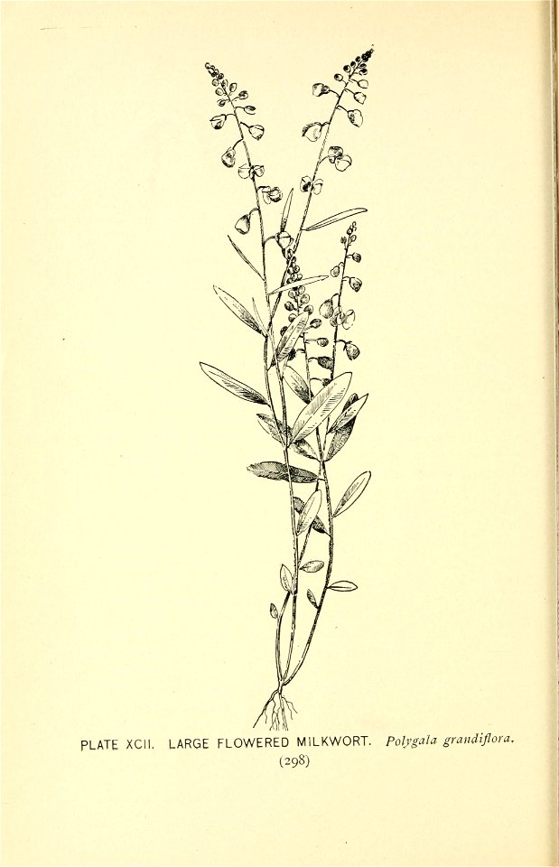 n363_w1150