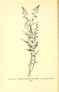 n363_w1150