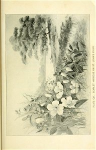 n402_w1150