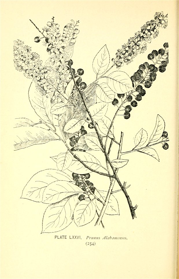 n313_w1150