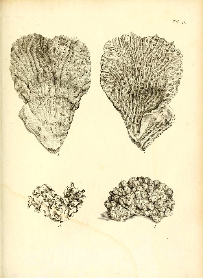 n212_w1150