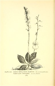 n141_w1150