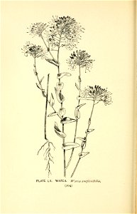 n259_w1150