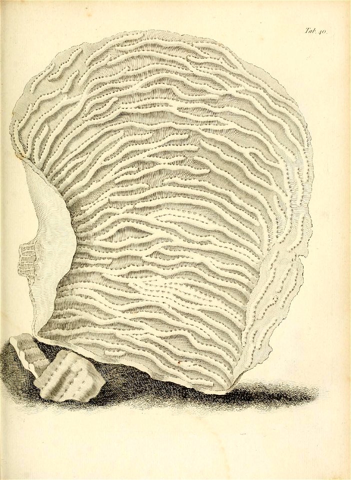 n210_w1150