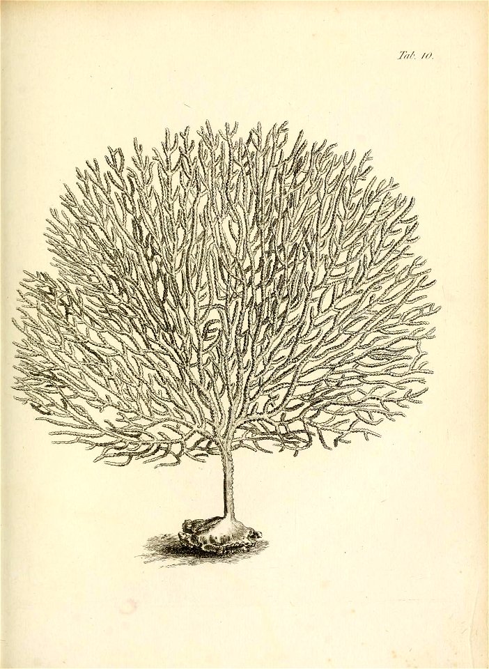 n148_w1150