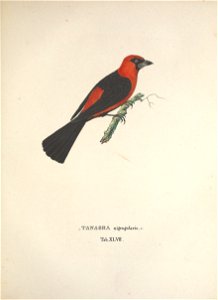 n196_w1150