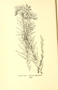 n515_w1150