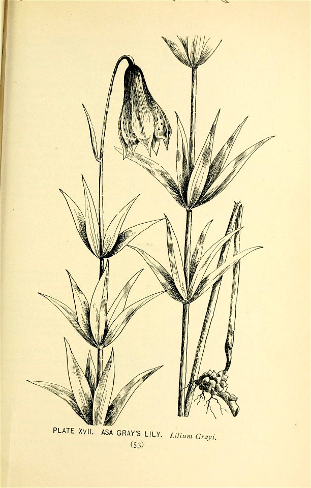 n102_w1150
