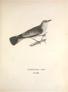 n144_w1150