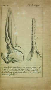 n52_w1150