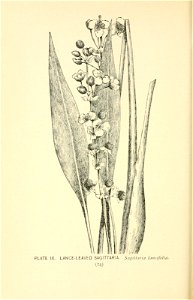 n69_w1150