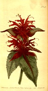 n105_w1150