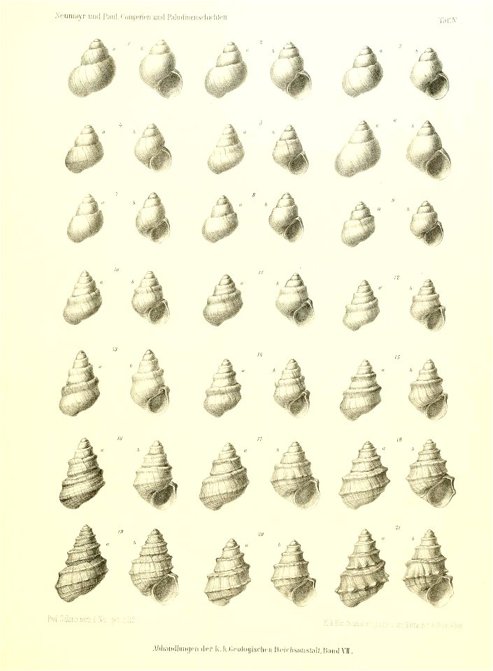 n140_w1150