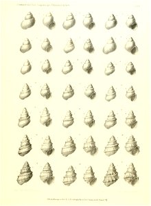 n140_w1150