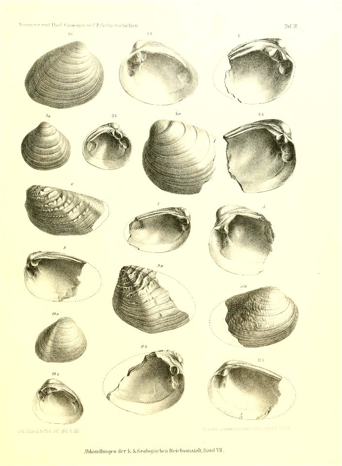 n136_w1150