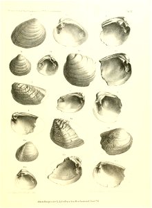 n136_w1150