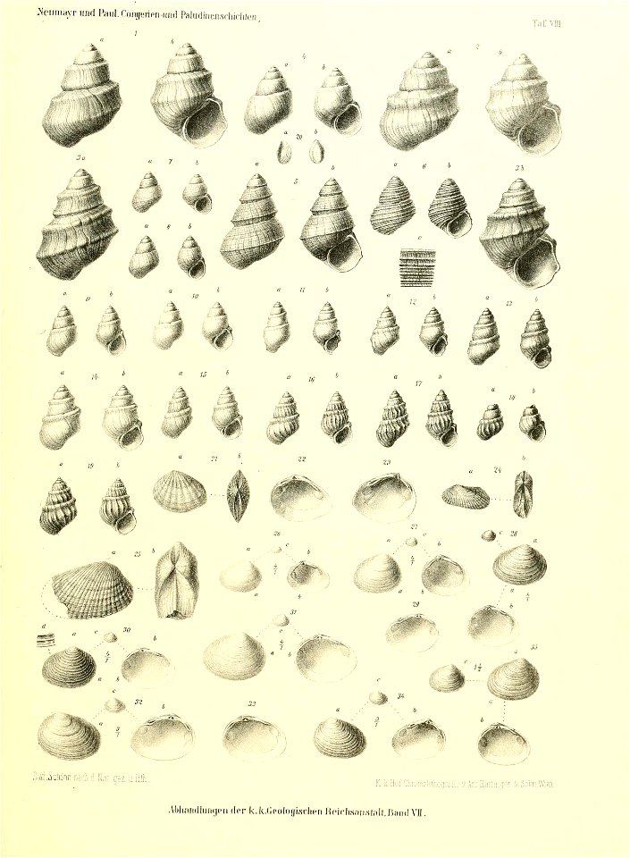 n156_w1150