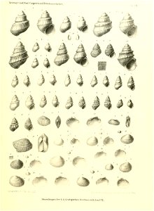 n156_w1150