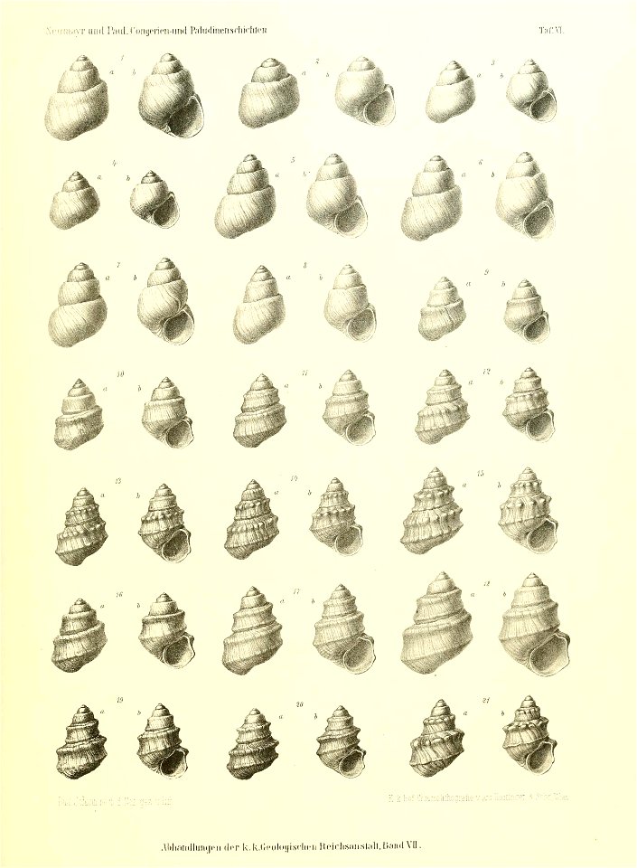 n148_w1150