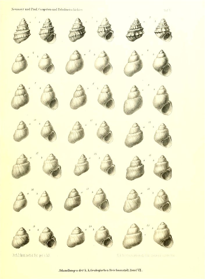 n144_w1150