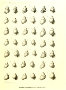 n144_w1150
