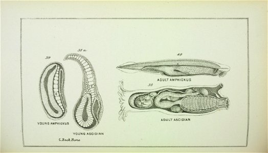 n57_w1150