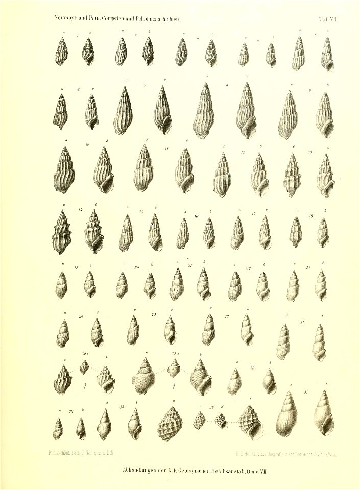 n152_w1150