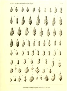 n152_w1150