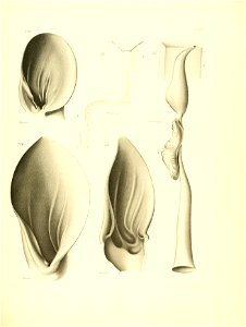 n290_w1150