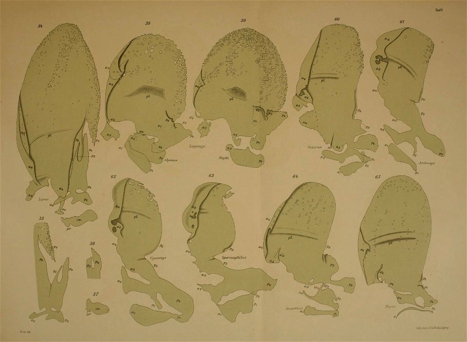 n252_w1150