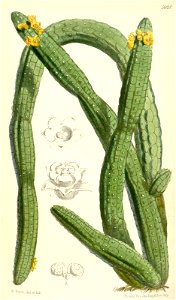 n158_w1150