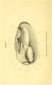 n375_w1150