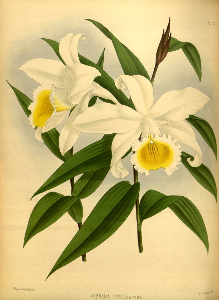 n95_w1150